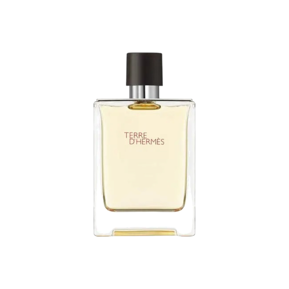 هيرميس عطر تيري دي هيرميس للرجال - 100 مل