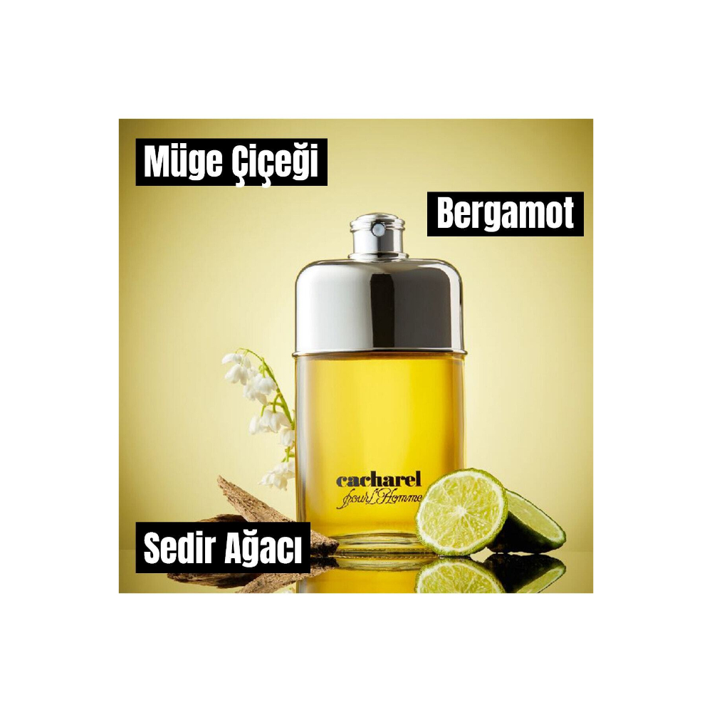 عطر رجالي - كاشريل بور هوم - او دو تواليت 100مل