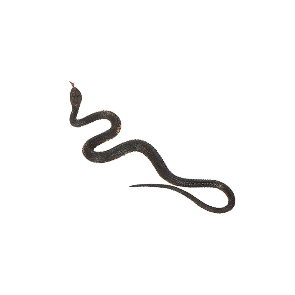  مجسم ثعبان مطاطي للحديقة لعبة مضحكة