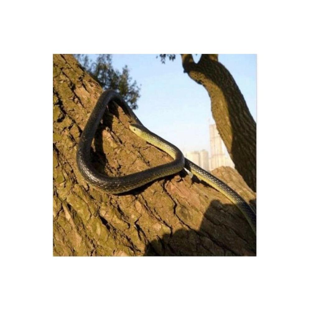  لعبة ثعبان واقعي - بأبعاد 51 × 0.7 × 0.8 بوصة 