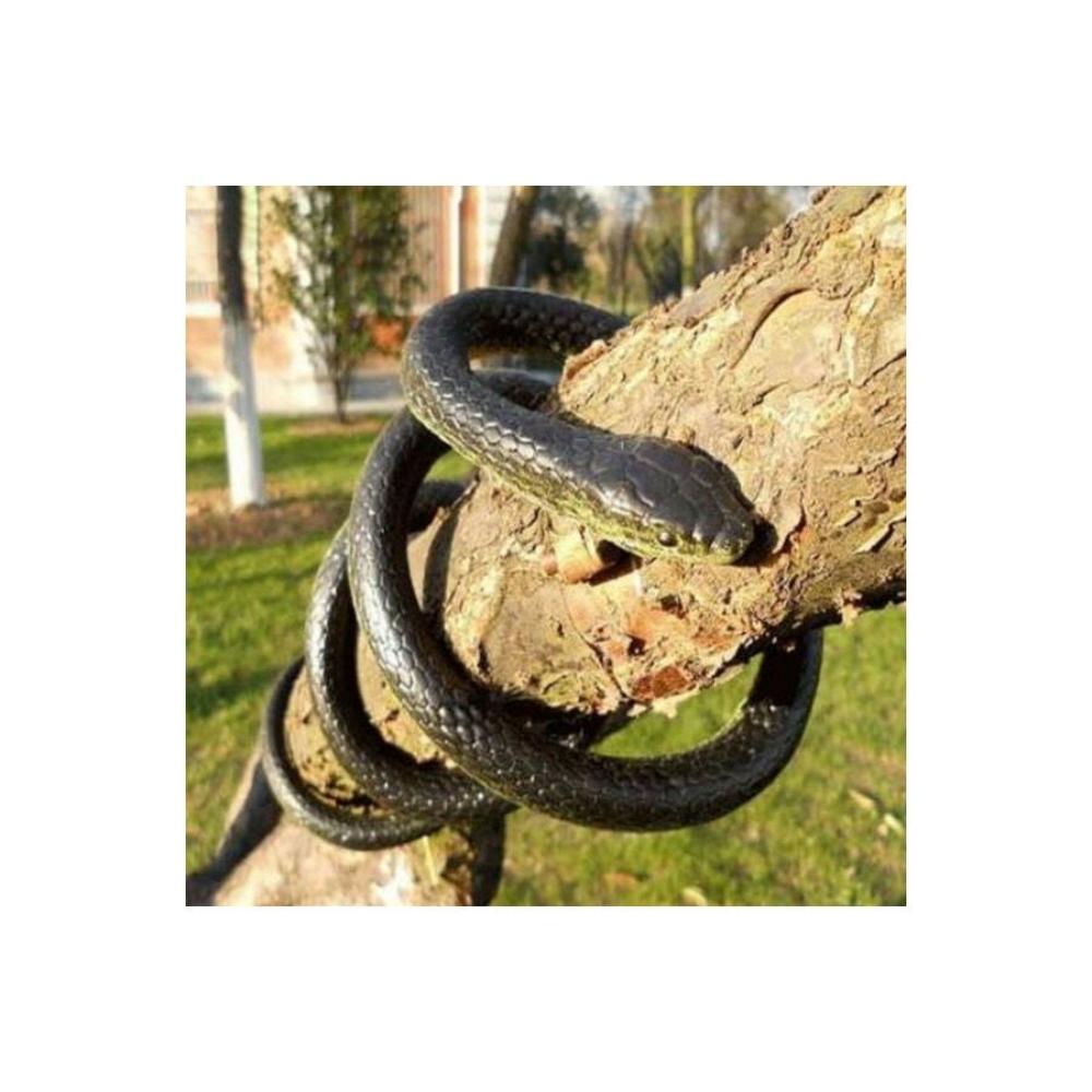  لعبة ثعبان واقعي - بأبعاد 51 × 0.7 × 0.8 بوصة 