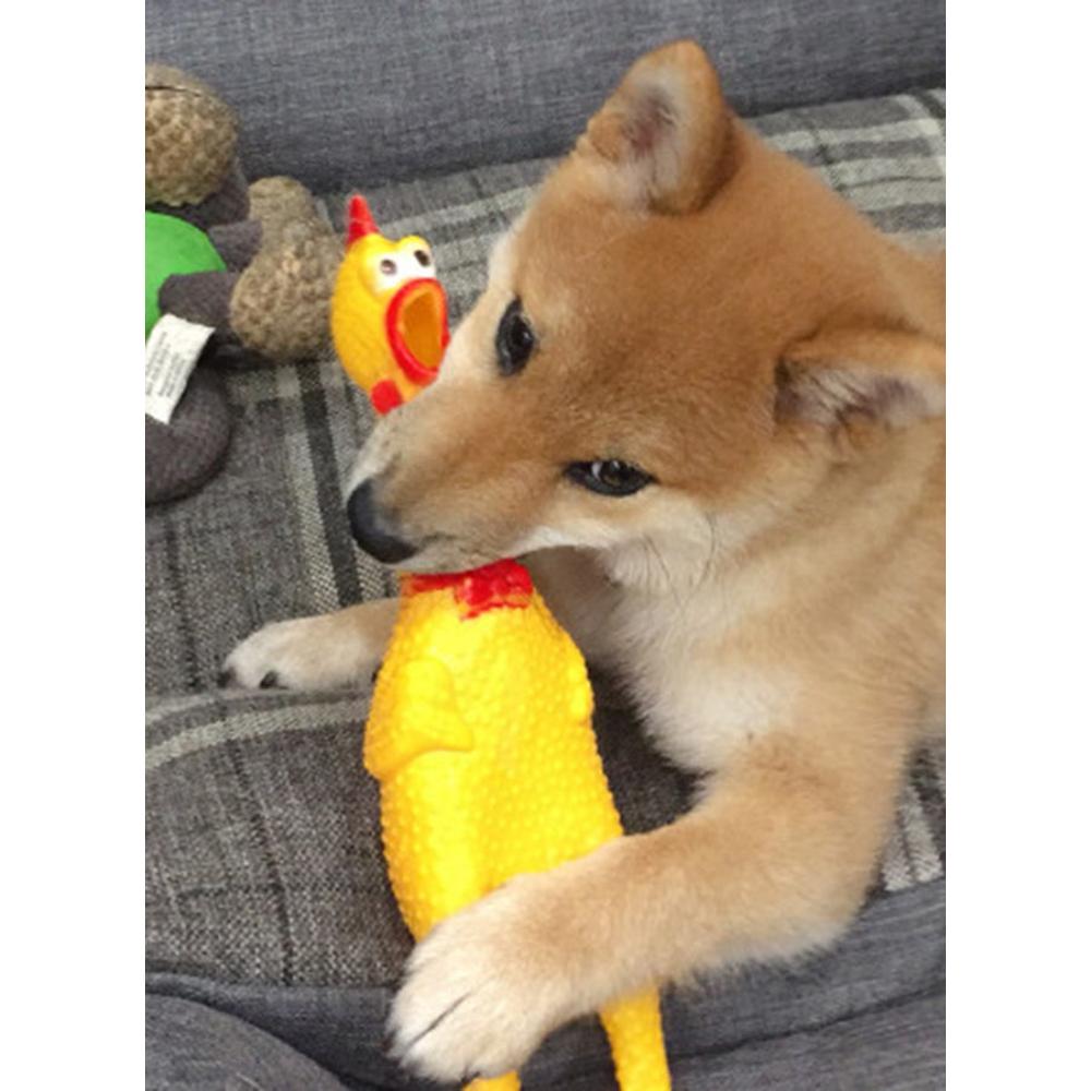  لعبة ضغط للأطفال كرة مطاطية صغيرة