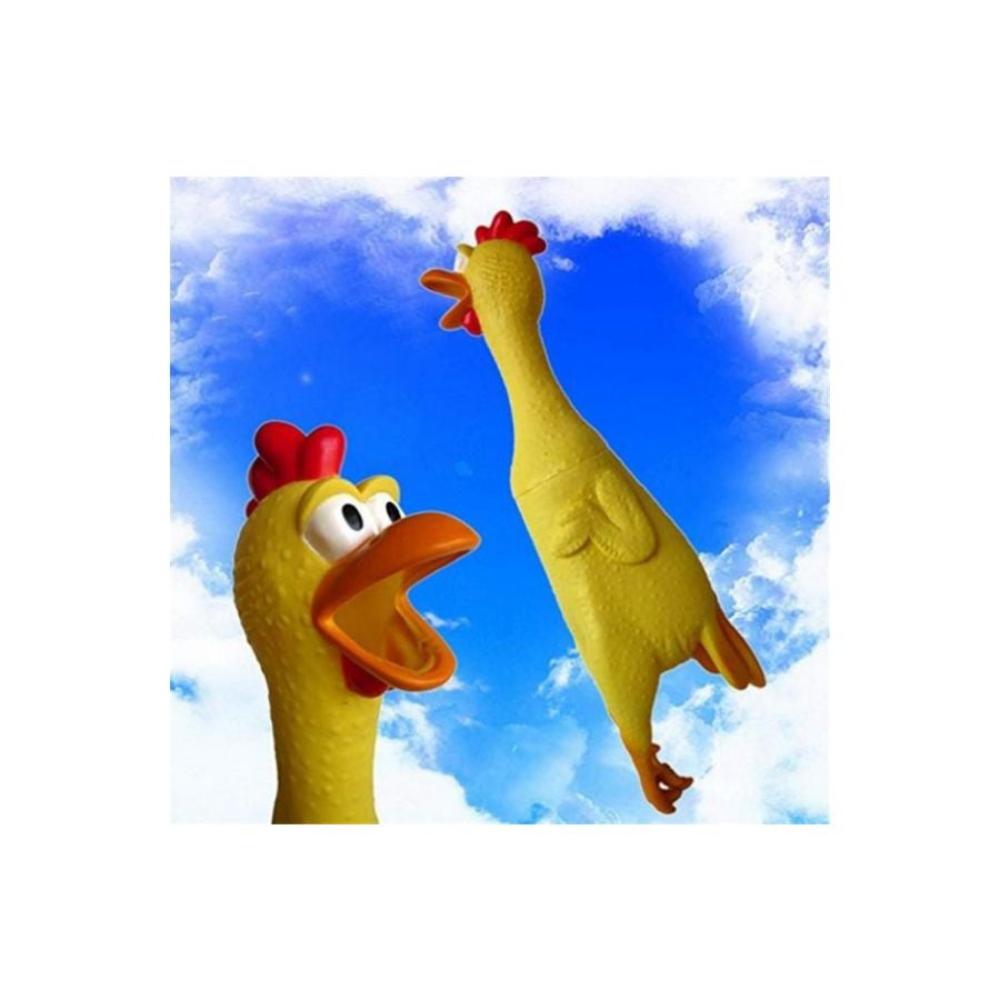  دجاجة سكواوكين تنتفخ ببطء