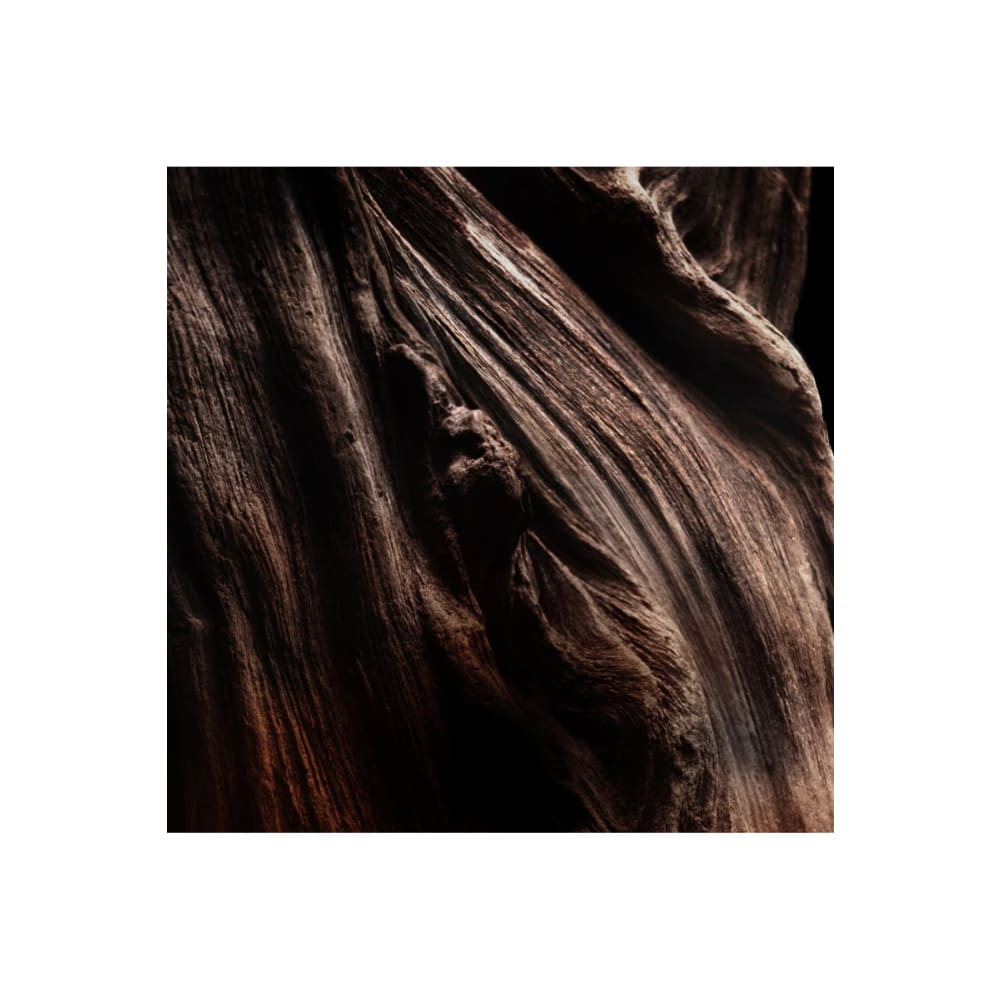 عطر جيرلان أليجوريا عود 125 مل