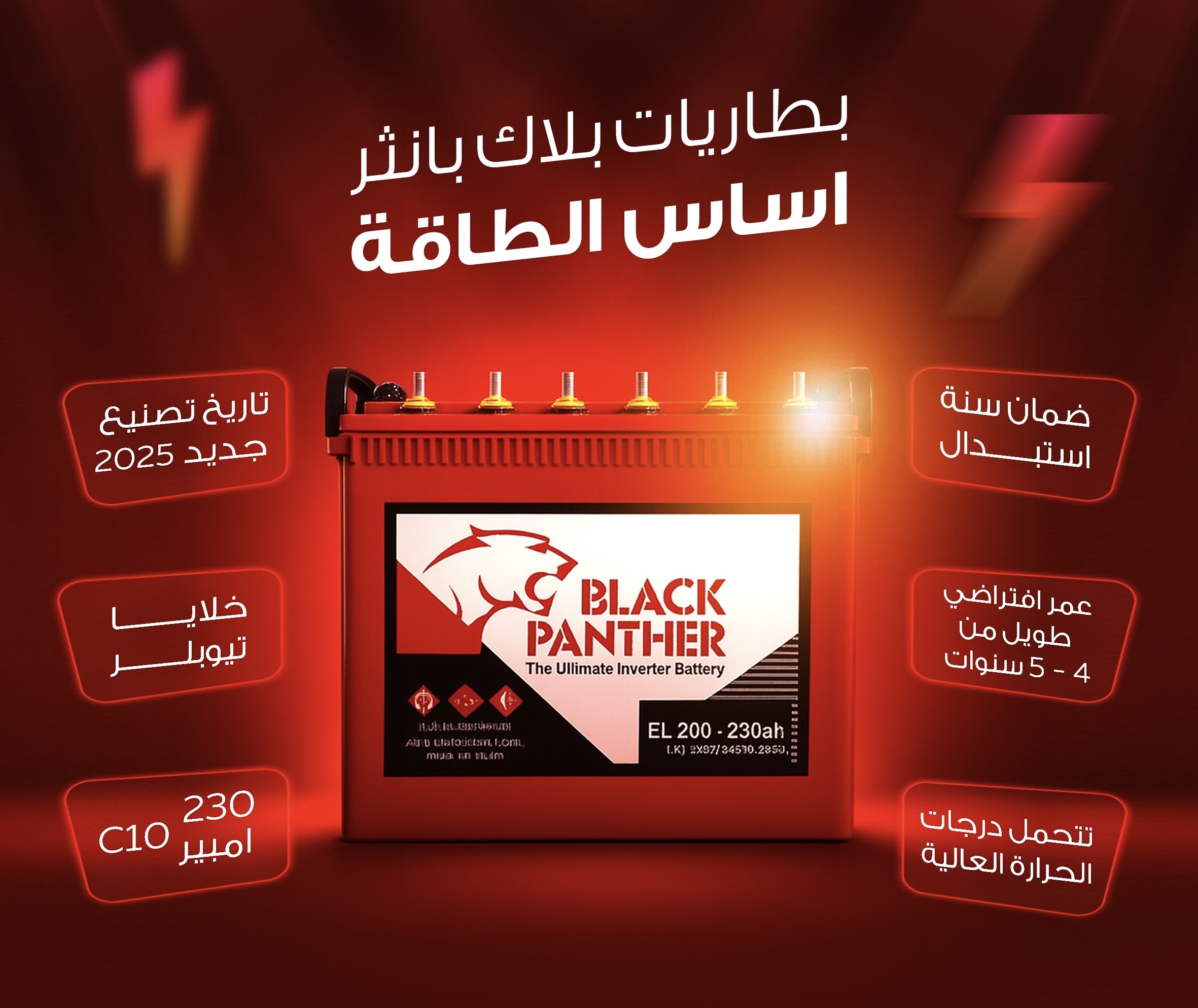 النمر الأسود بطارية 230 أمبير C10