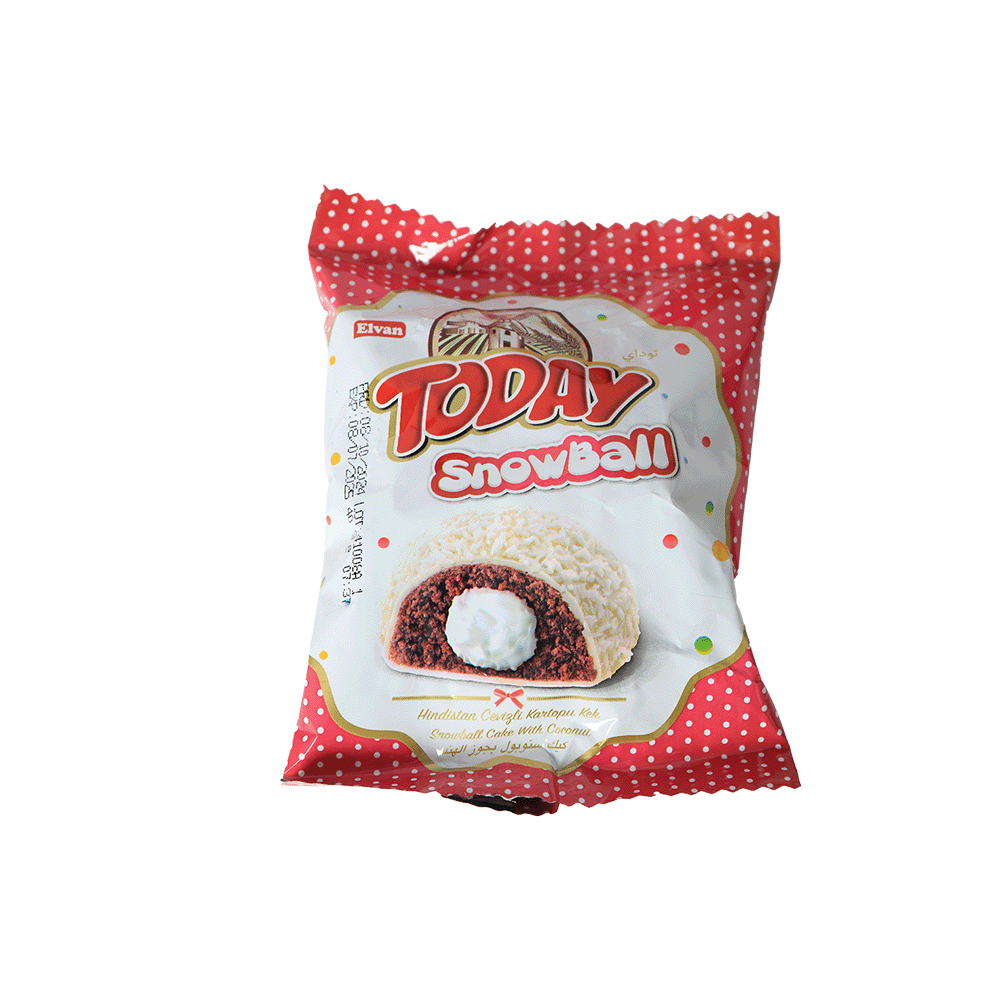 كيكة إلفان توداي سنو بول بجوز الهند - 40 جم