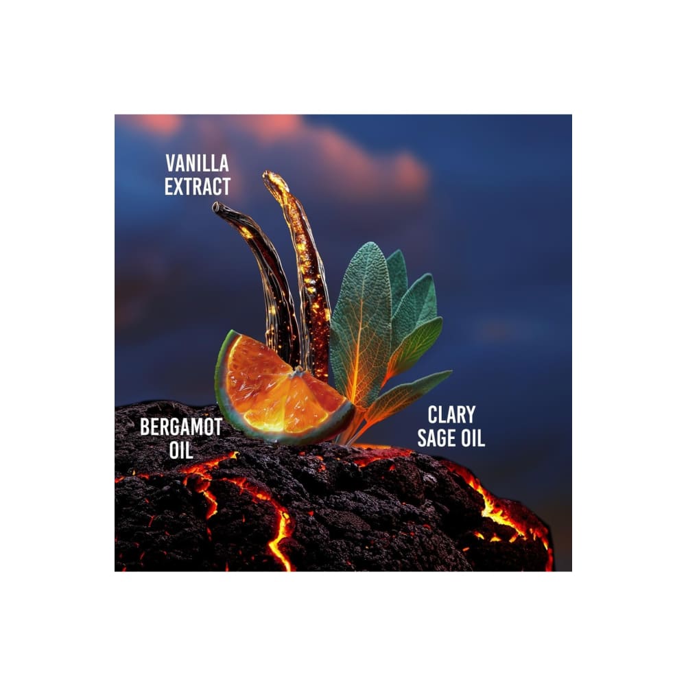 عطر دراكار نوار انتينس للرجال 100 مل