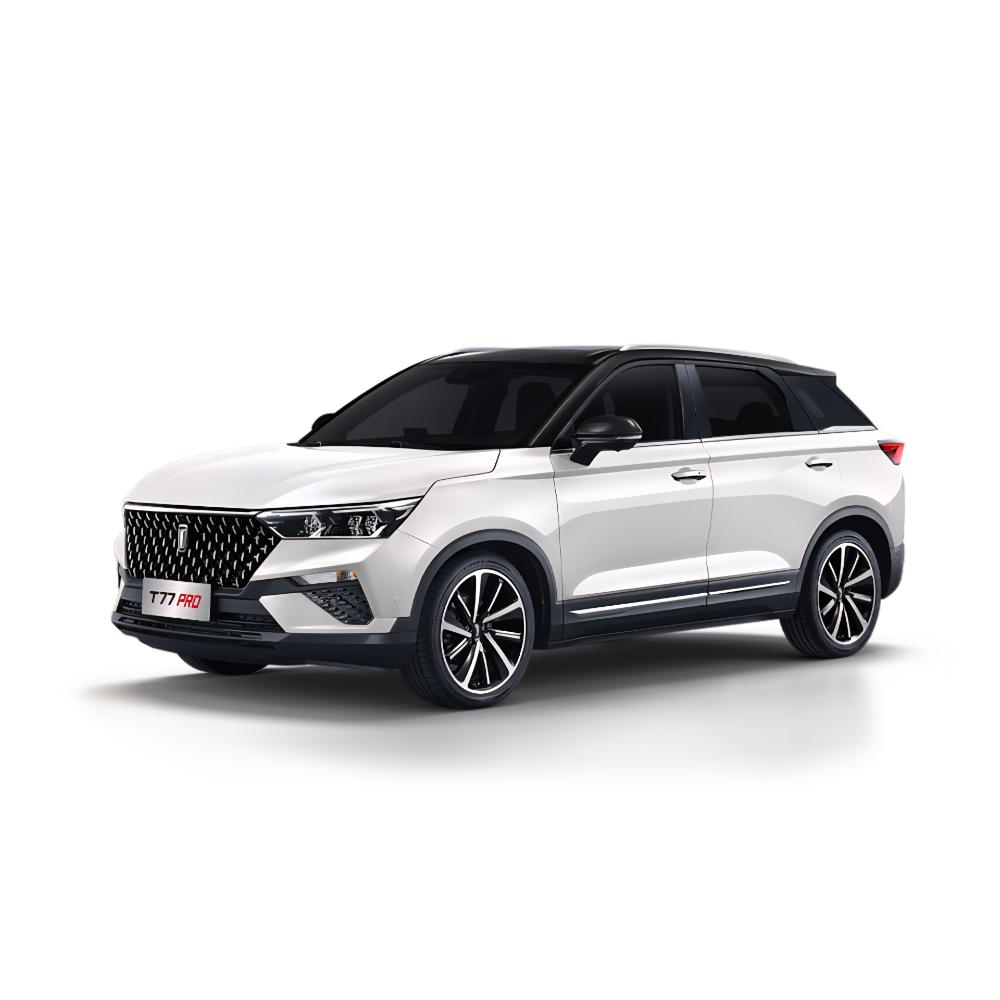 2025 T77 سيارة بيستون