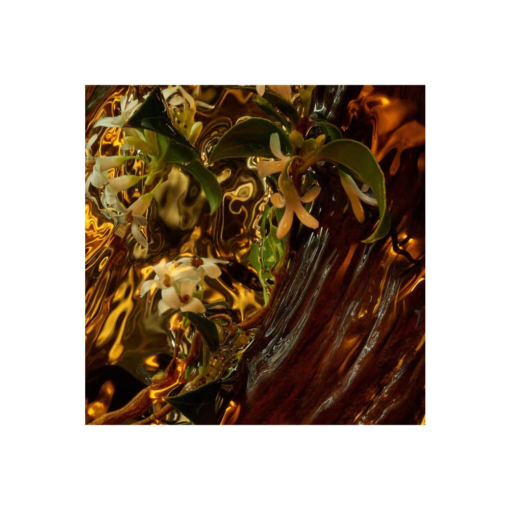 عطر جيرلان أليجوريا عود 125 مل