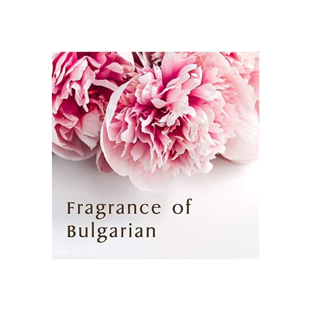 شامبو عضوي لتنظيف وترطيب الشعر وفروة الرأس 440مل