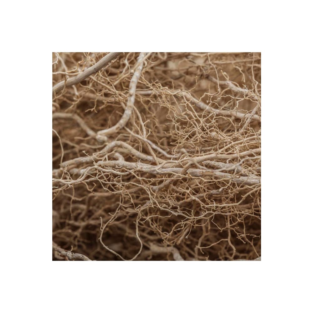 عطر مونت بلانك اكسبلورر 200مل